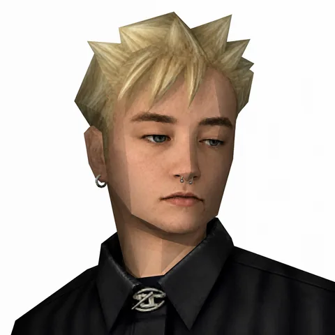 Sam — low-poly avatar